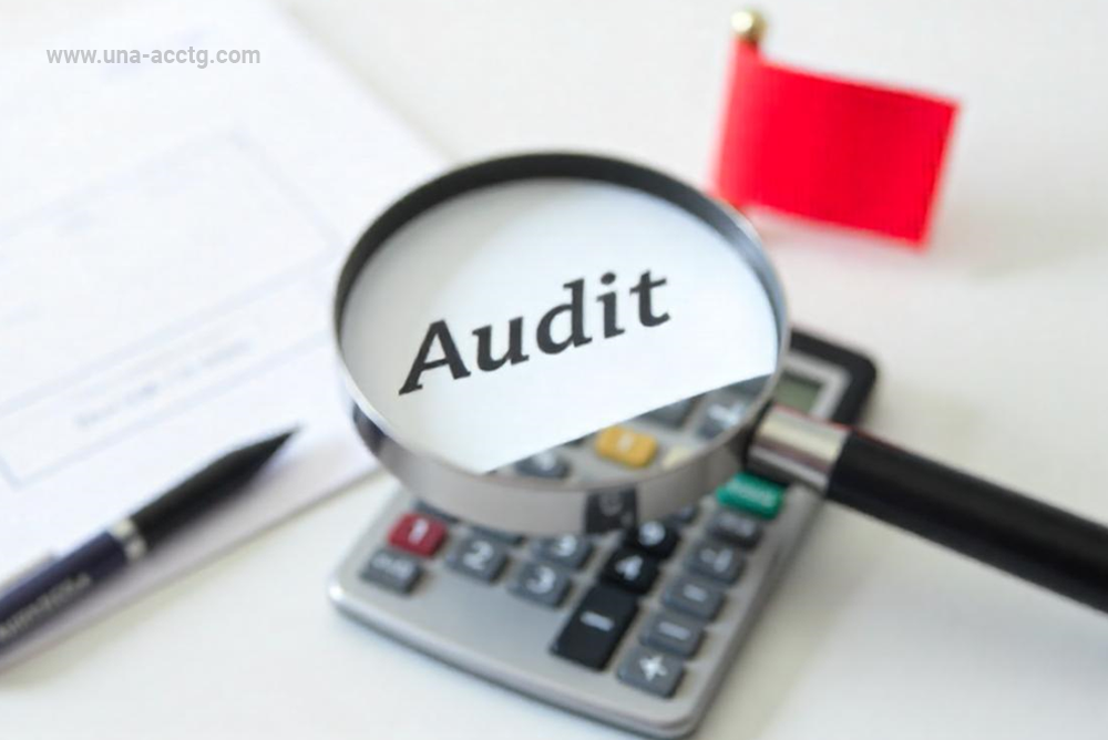 You are currently viewing BIR Audit Red Flags and How to Avoid Them UNA Tax & Accounting Services