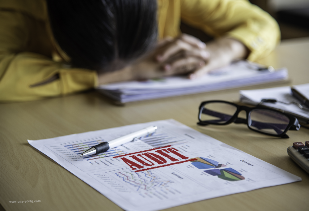 You are currently viewing Worried About a BIR Audit? 5 Red Flags That Could Trigger One 