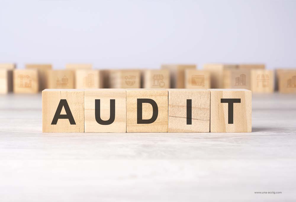 Read more about the article Industries Most Likely to Be Audited by the BIR (and How Businesses Can Prepare)